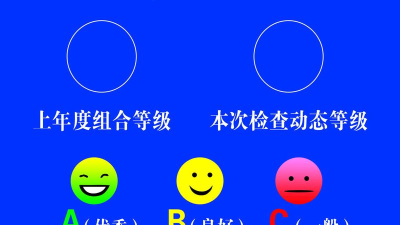 高蛋白健身饼干：进口之选，助力健康塑形**